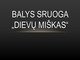 „Dievų miškas“ Pagrindiniai aspektai