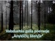 Vaizduotės galia lyrinėje poemoje 