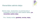 Vientisinio sakinio skyryba konspektas 3