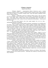 Ignas Šeinius Kuprelio paveikslas 1