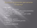 Žymiausi pramonės perversmo išradimai 3