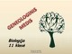 Genealoginis medis