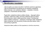 Lietuvių kalbos politikos gairės 3