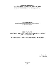 Bitė vilimaitė Stichinės nelaimės ištraukos analizė iš knygos Rojaus obuoliukai 1