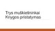 Trys muškietininkai. Knygos pristatymas