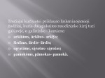 3 Kirčiuotė 2