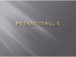 Biografija skaidrės Petras Tarulis 1