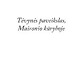 Tėvynės paveikslas Maironio kūryboje