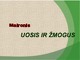 Maironio eilėraštis „Uosis ir žmogus“