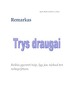 Remarkas Trys draugai santrauka ir analizė
