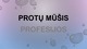 Protų mūšis skaidrės (2)