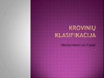 Krovinių klasifikavimas logistikos skaidrės 1
