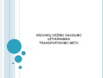 Krovinių vežimo saugumo užtikrinimas 1