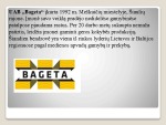 Sėkmingas logistikos gamyboje pavyzdys UAB “Bageta” 2