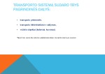 Lietuvos transporto strategija 2