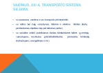 Lietuvos transporto strategija 3
