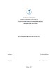 Baigiamosios praktikos ataskaita UAB „Girteka Logistics“ 