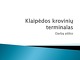 Krovinių terminalas