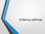 Keleivių vežimo sutarties samprata 1
