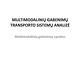 Multimodalinių gabenimų transporto sistemų analizės pristatymas 