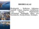 Biodegalų transportavimas