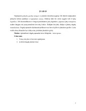 Reiso Klaipėda - Antverpenas degalų sąnaudų apskaičiavimas 3