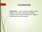 Keleivinio transporto sistema ir jos tobulinimas (geležinkelis) 3