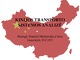 Kinijos transporto sistema projektas
