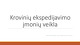 Krovinių ekspedijavimo įmonių veikla