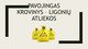 Pavojingas krovinys – ligonių atliekos