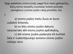Eismo ivykio deklaracijos pildymas 2
