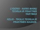 Lyderio - nario mainų teorija ir praktinis taikymas