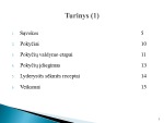 Pokyčių diegimo inicijavimo, įgyvendinimo, institucionalizacijos fazių veiklos skaidrės 2