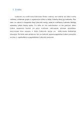 Lyderystė referatas 3