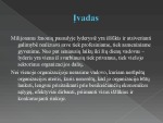 Situacinės lyderystės teorijos, jų esmė, raida 3