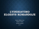 Lyderiavimo elgesys komandoje
