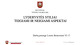 Lyderystės stiliai, teigiami ir neigiami aspektai