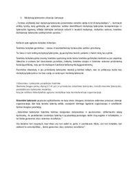 Mokytojo lyderystė ikimokyklinio ugdymo įstaigoje 3