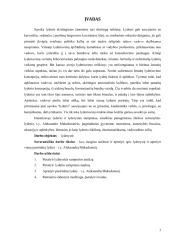 Lyderystės referatas 3