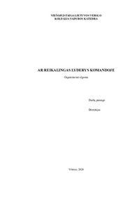 Organizacinė elgsena: Ar reikalingas lyderis komandoje? 1
