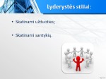 Organizacijos lyderystė 3