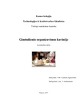 Gimtadienio organizavimas