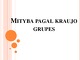 Mityba pagal kraujo grupes skaidrės