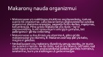 Makaronai projektas 3