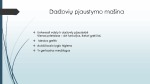 Daržovių pjaustymo mašinos analizės pristatymas 2