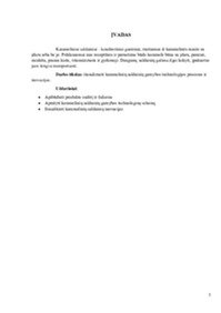 Karamelinių saldainių technologijos proceso aprašymas ir inovacijos 3