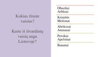 Vaisių pirminis paruošimas 3