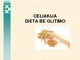 Celiakija