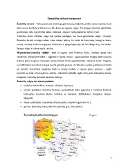 Nacionalinių patiekalų kavinės organizavimas 3
