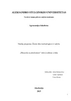 rinkodaros strategijos planas universitetui)